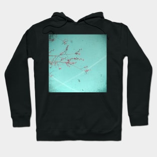 A Kiss in the Sky Hoodie